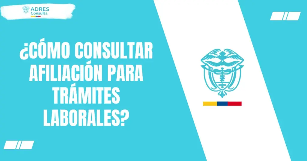 ¿Cómo consultar afiliación para trámites laborales?